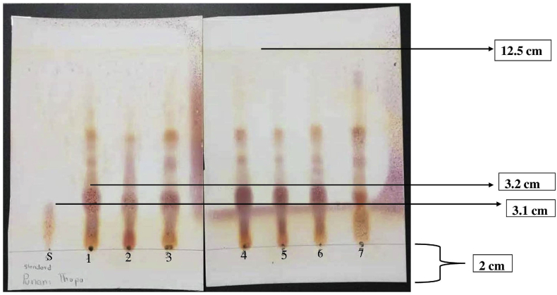 Figure 4