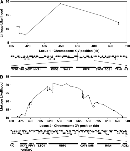 Figure 5.—