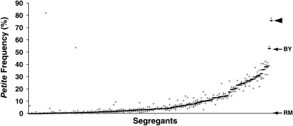 Figure 2.—