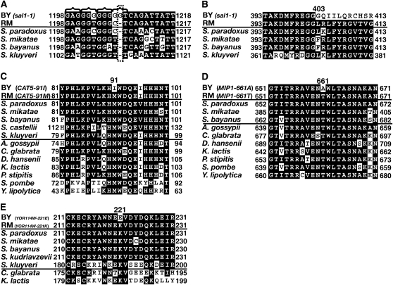 Figure 6.—