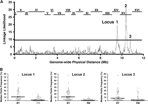 Figure 3.—