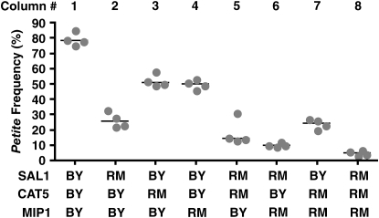 Figure 7.—