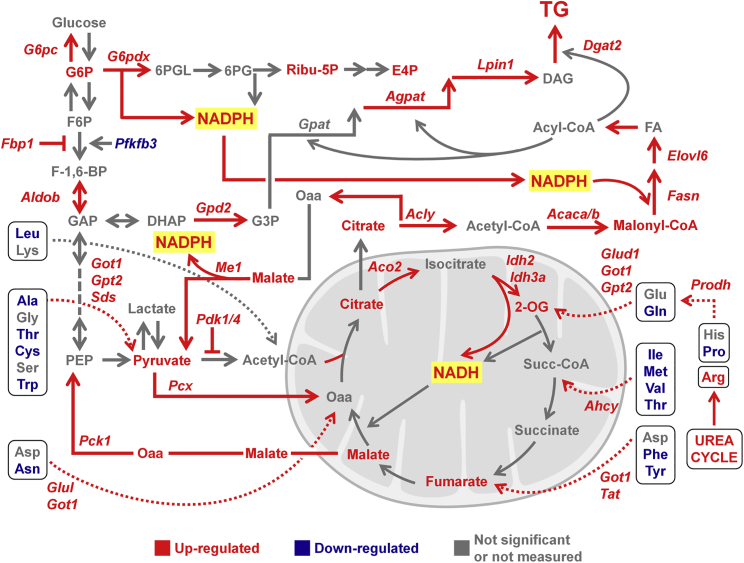 Figure 7