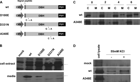 FIGURE 4.