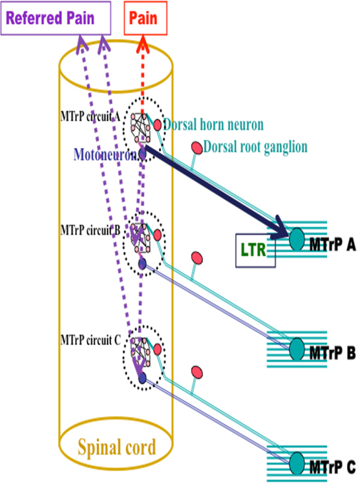 Fig. 2