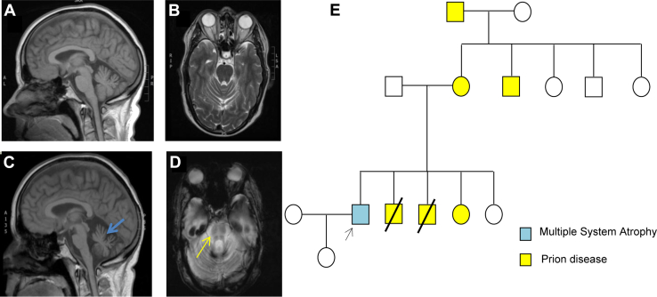 Fig. 1