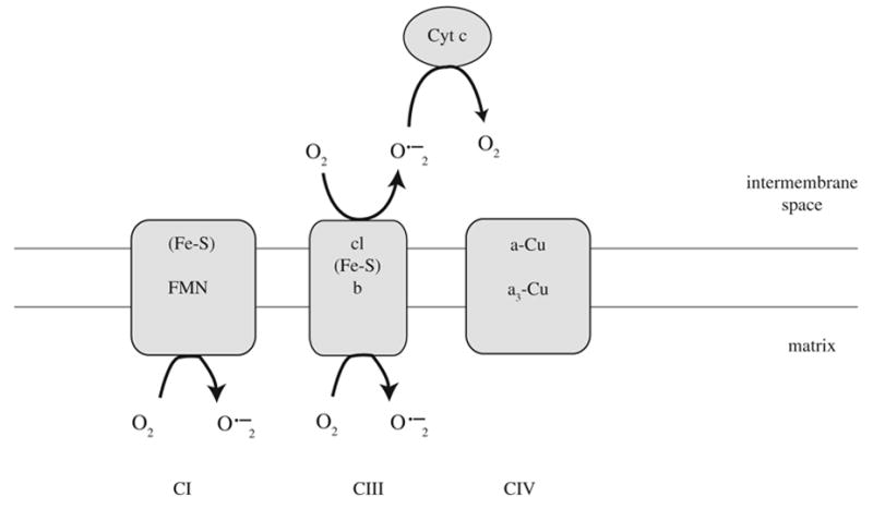 FIG. 8