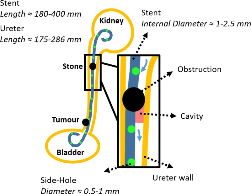 FIG. 1.