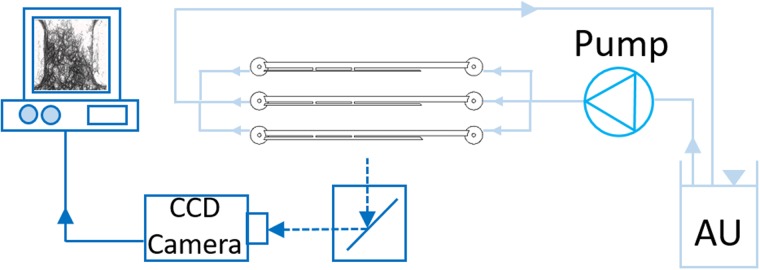 FIG. 3.