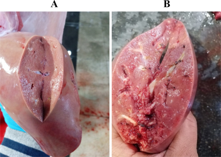 Fig. 3.