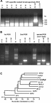 FIG. 2.