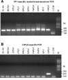 FIG. 1.