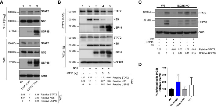 Figure 6