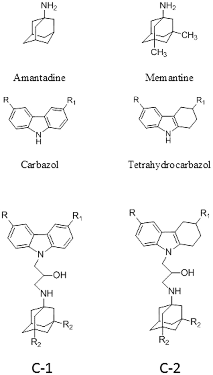 Figure 1