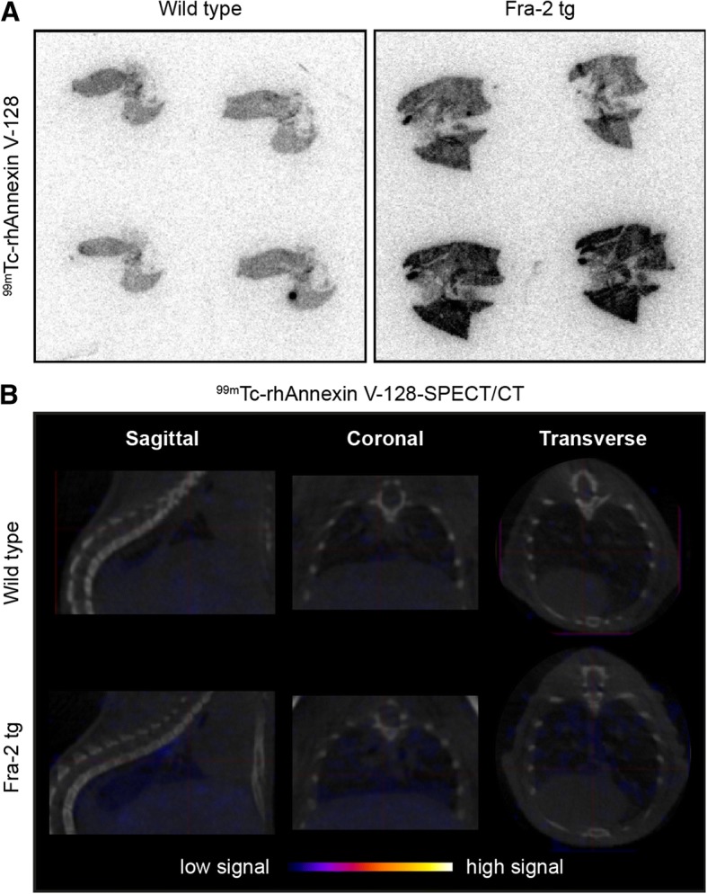 Fig. 6