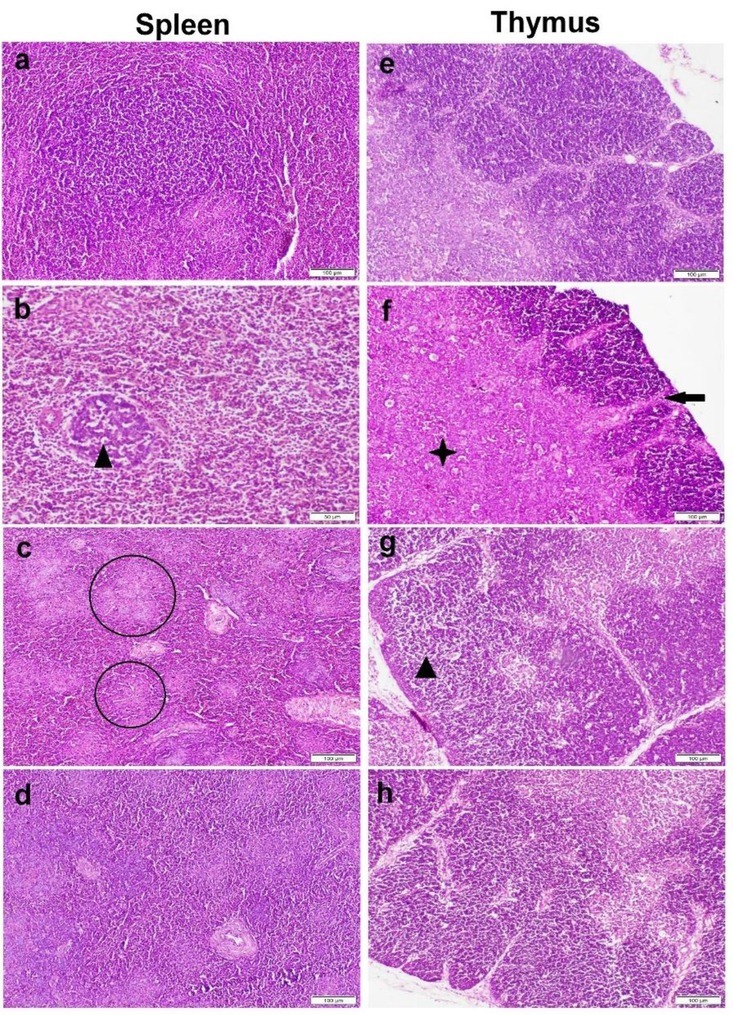 Fig. 6