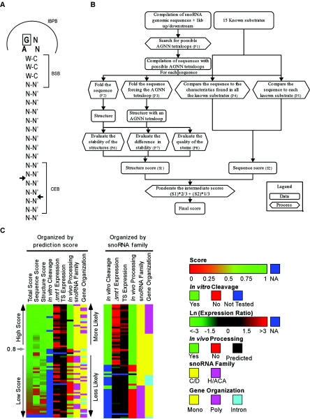 FIG. 1.