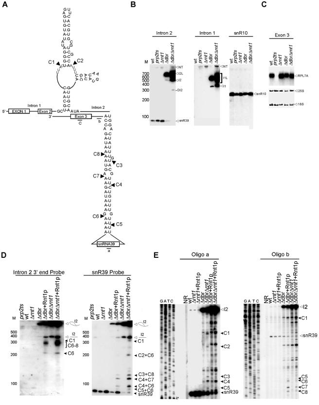 FIG. 6.