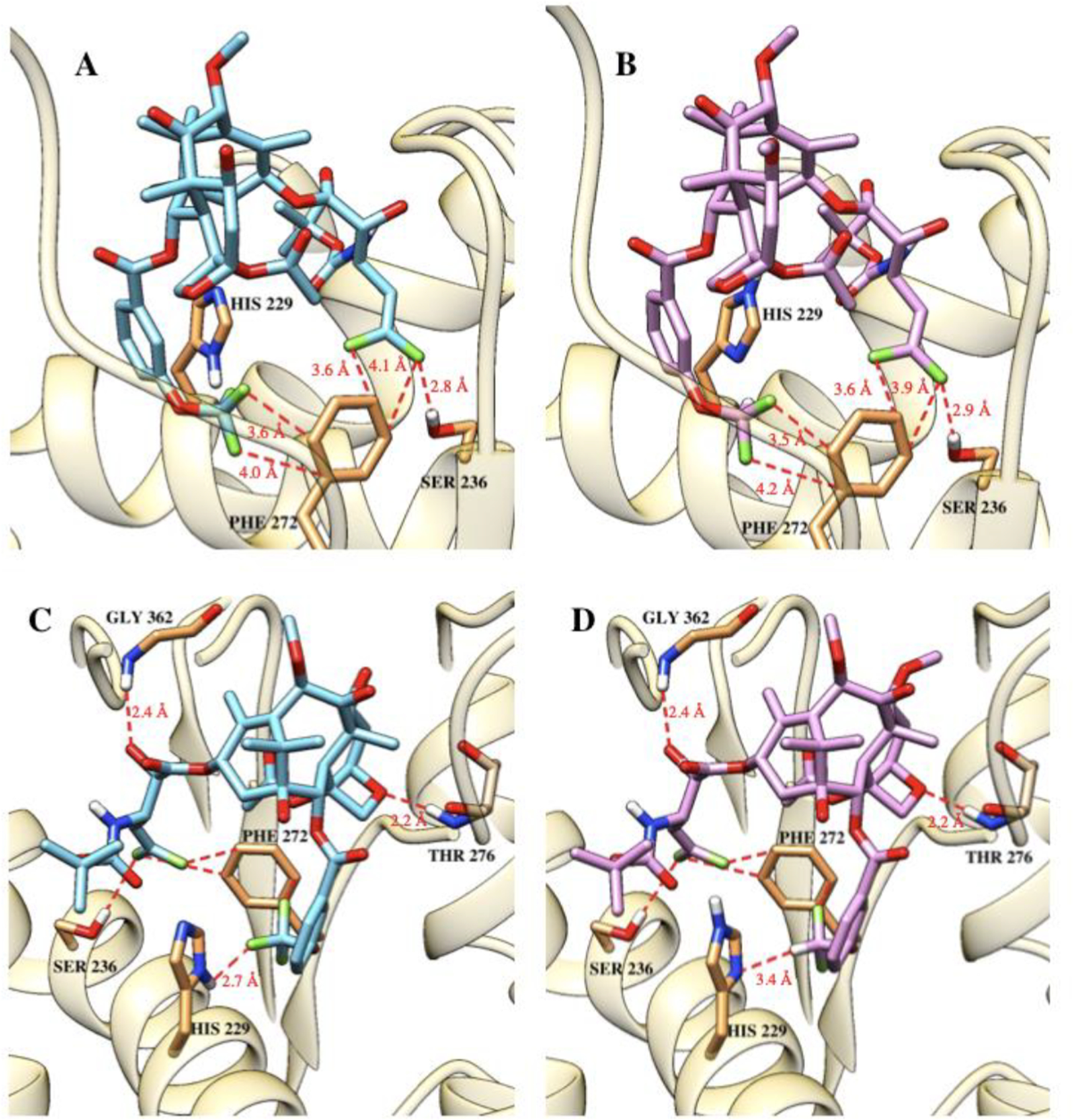 Fig. 7.