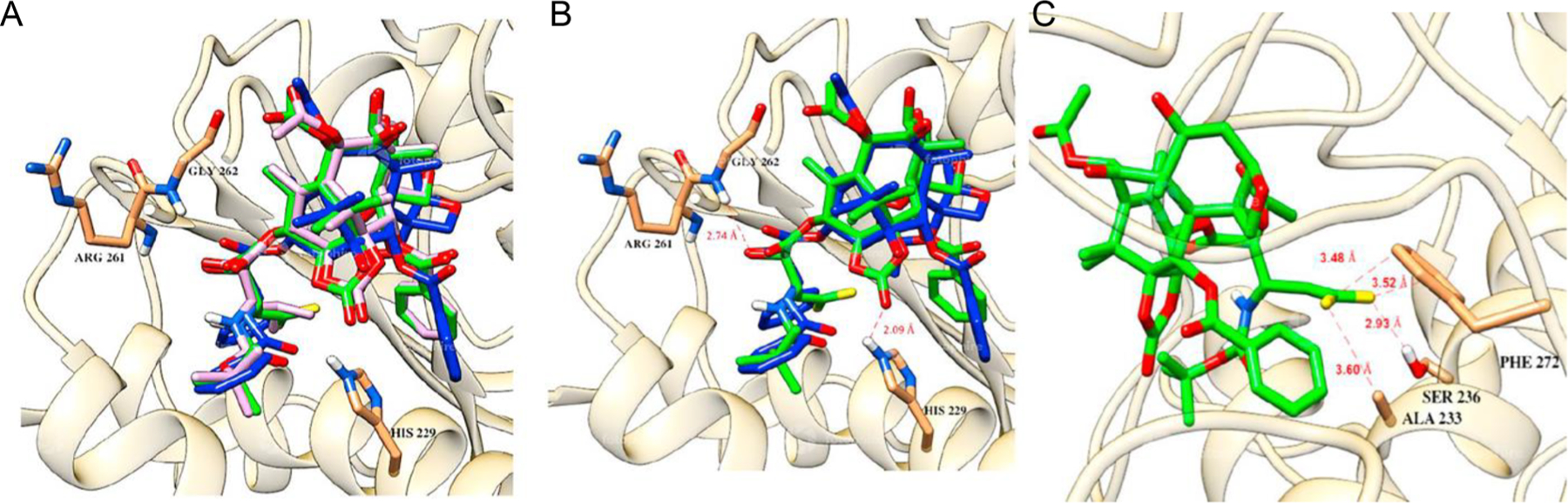 Fig. 14.