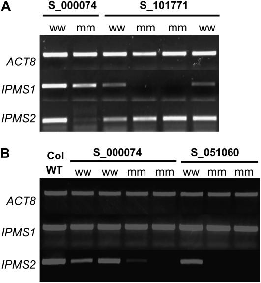 Figure 6.