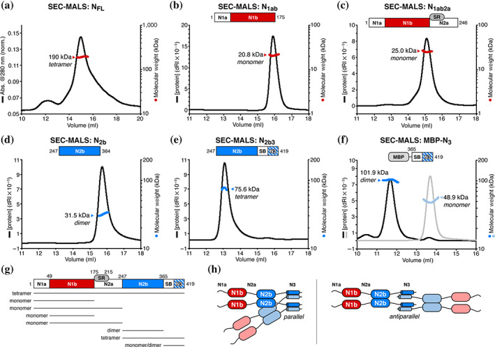 FIGURE 3