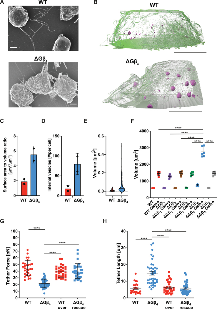 Fig 4: