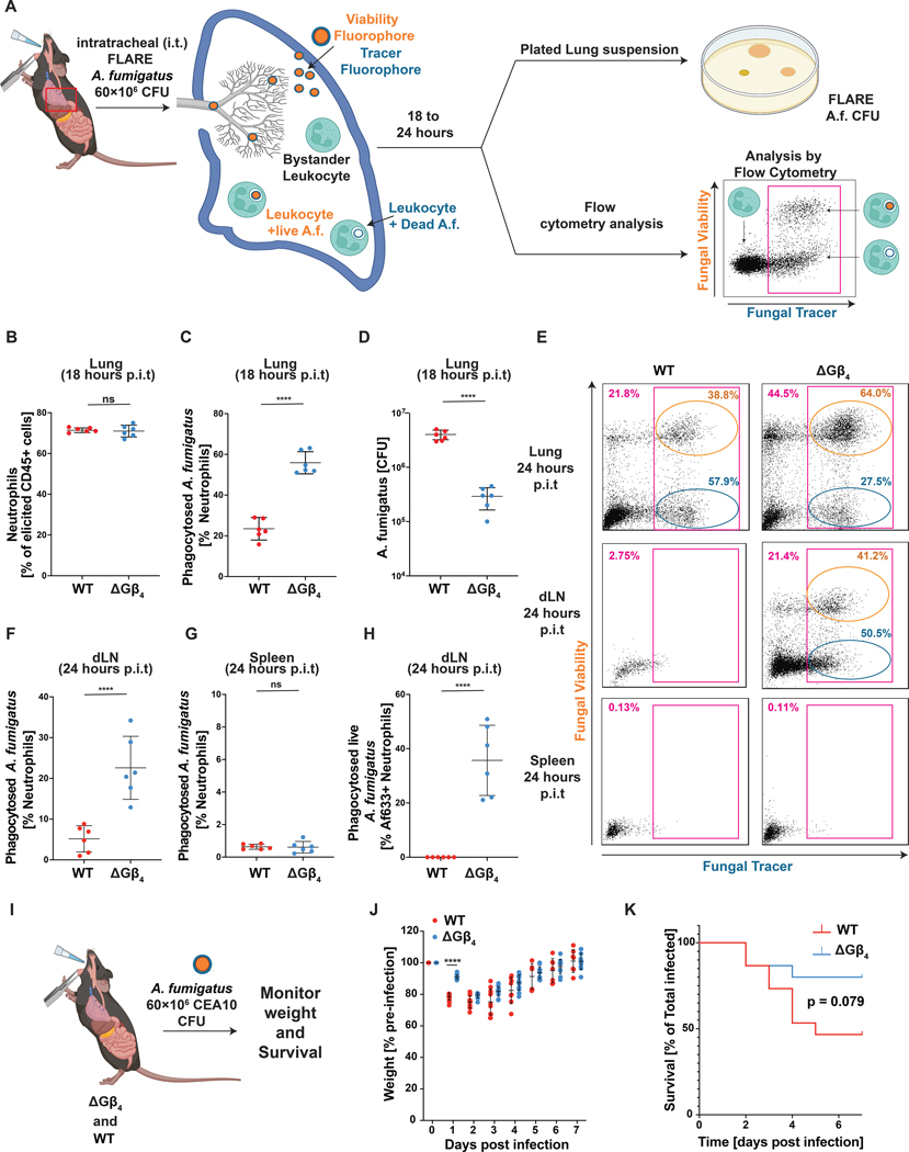 Fig. 7: