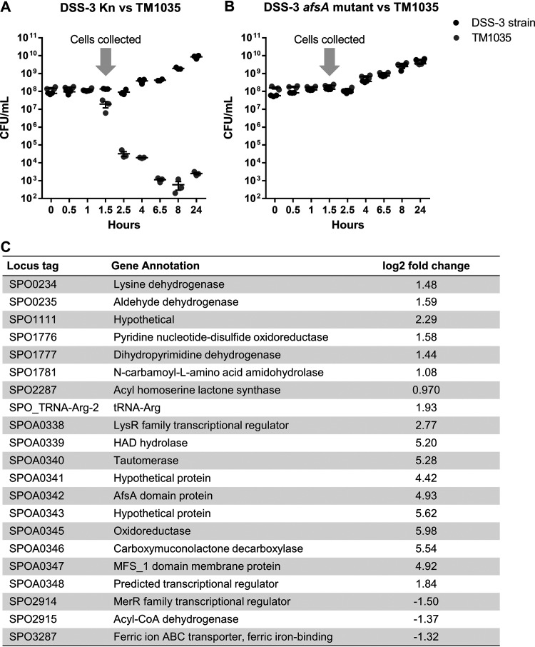 FIG 6