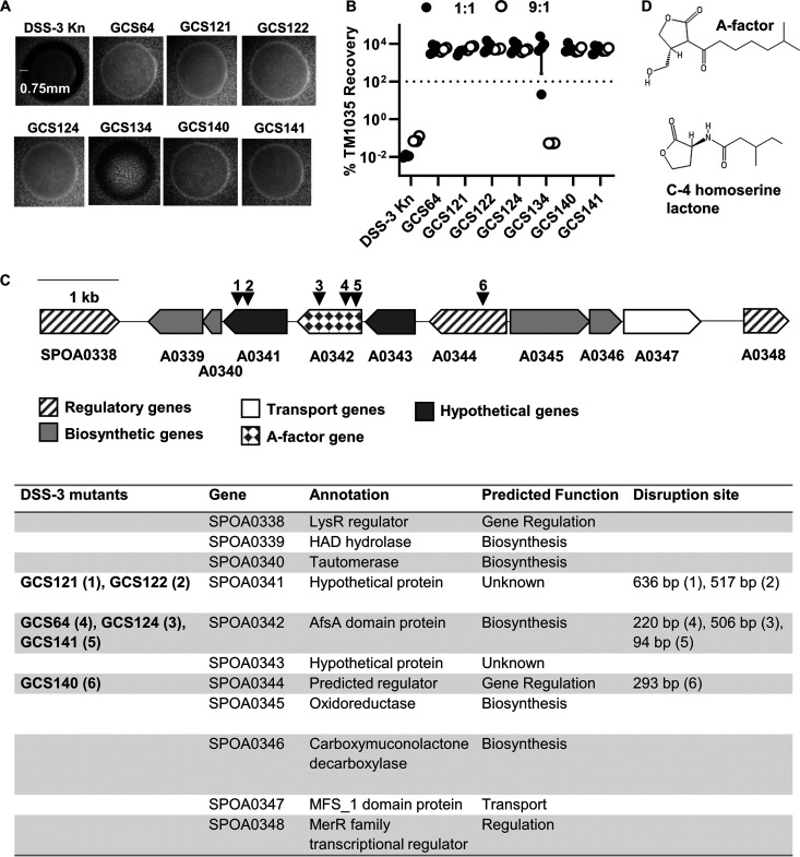 FIG 3