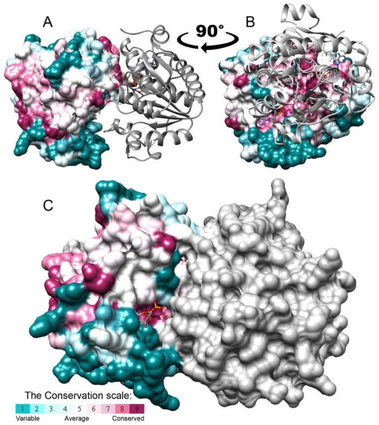 Figure 6