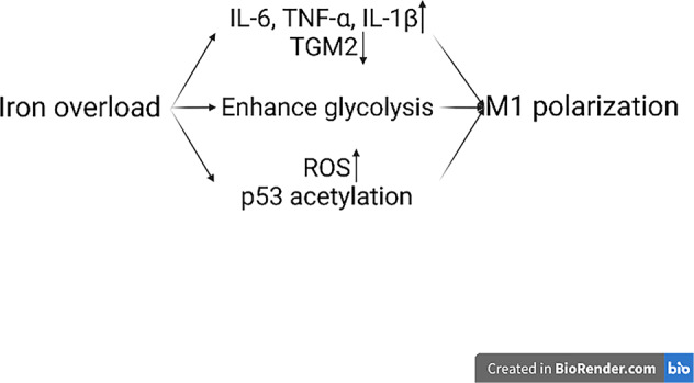 Fig. 5