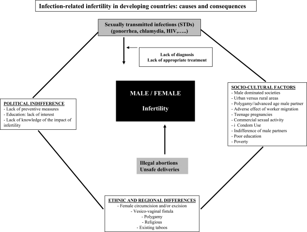 Figure 2: