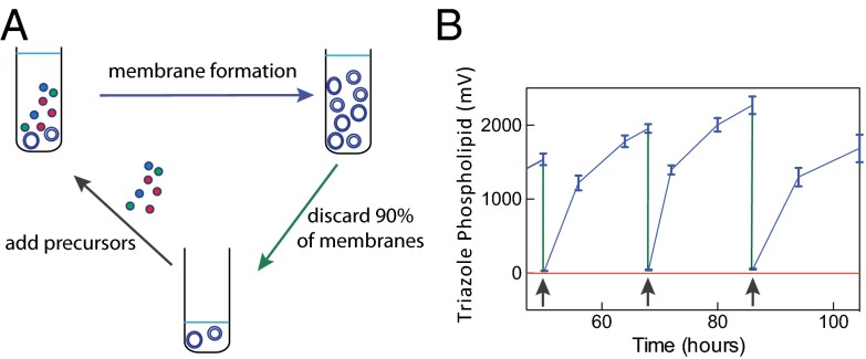 Fig. 3.