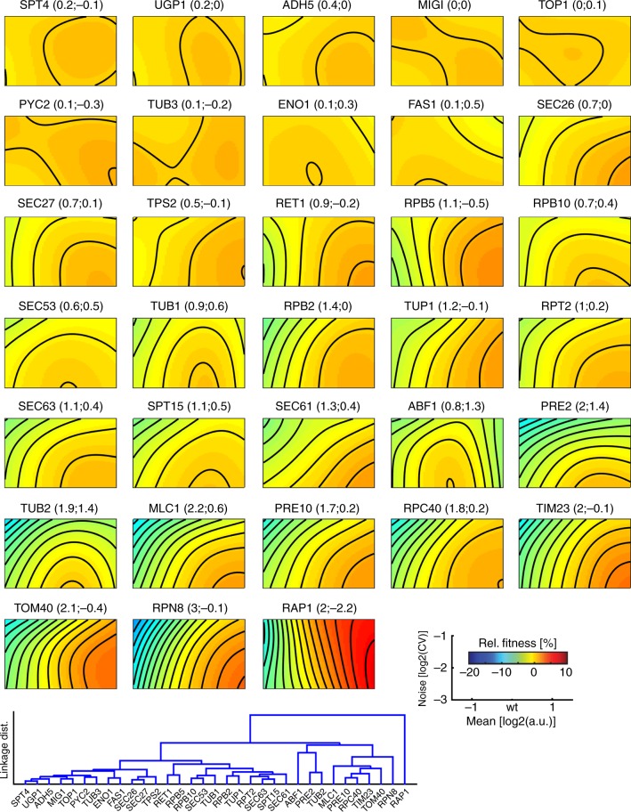 Fig. 3