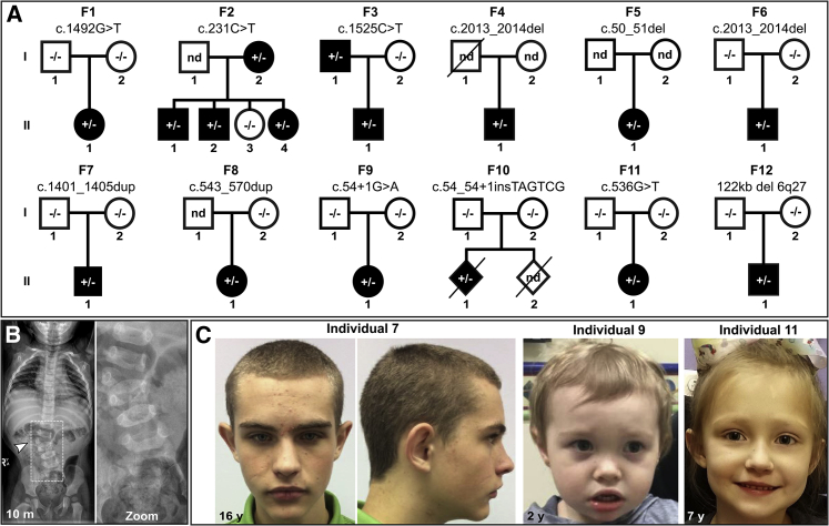 Figure 1