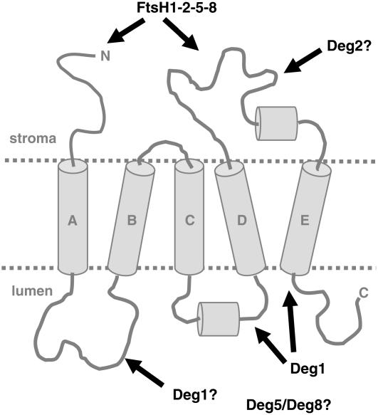 Figure 7.