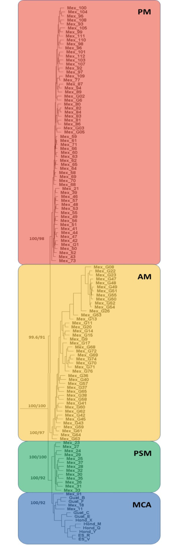 Fig 4