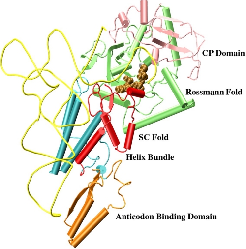 FIGURE 1.