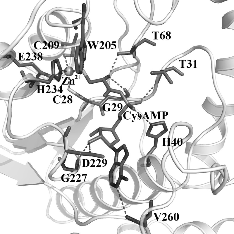 FIGURE 3.