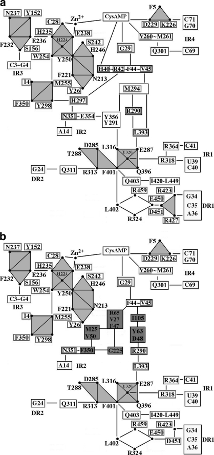 FIGURE 7.