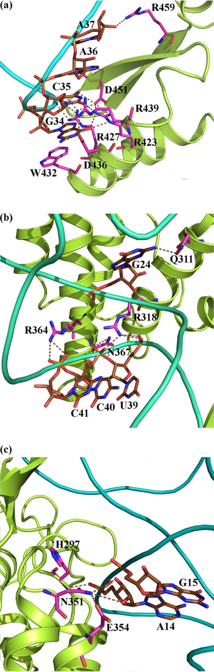 FIGURE 4.