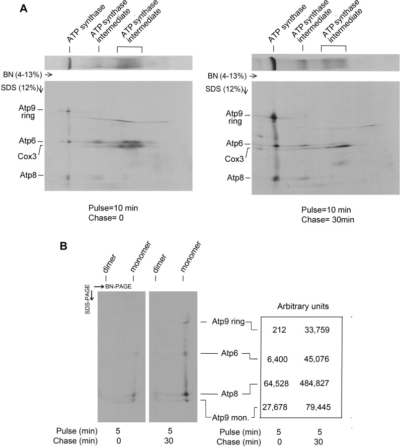 Fig 3