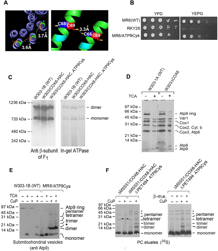 Fig 6