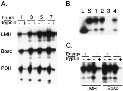 FIG. 6