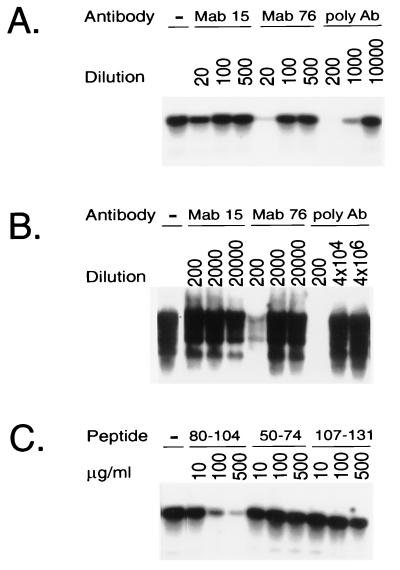 FIG. 5