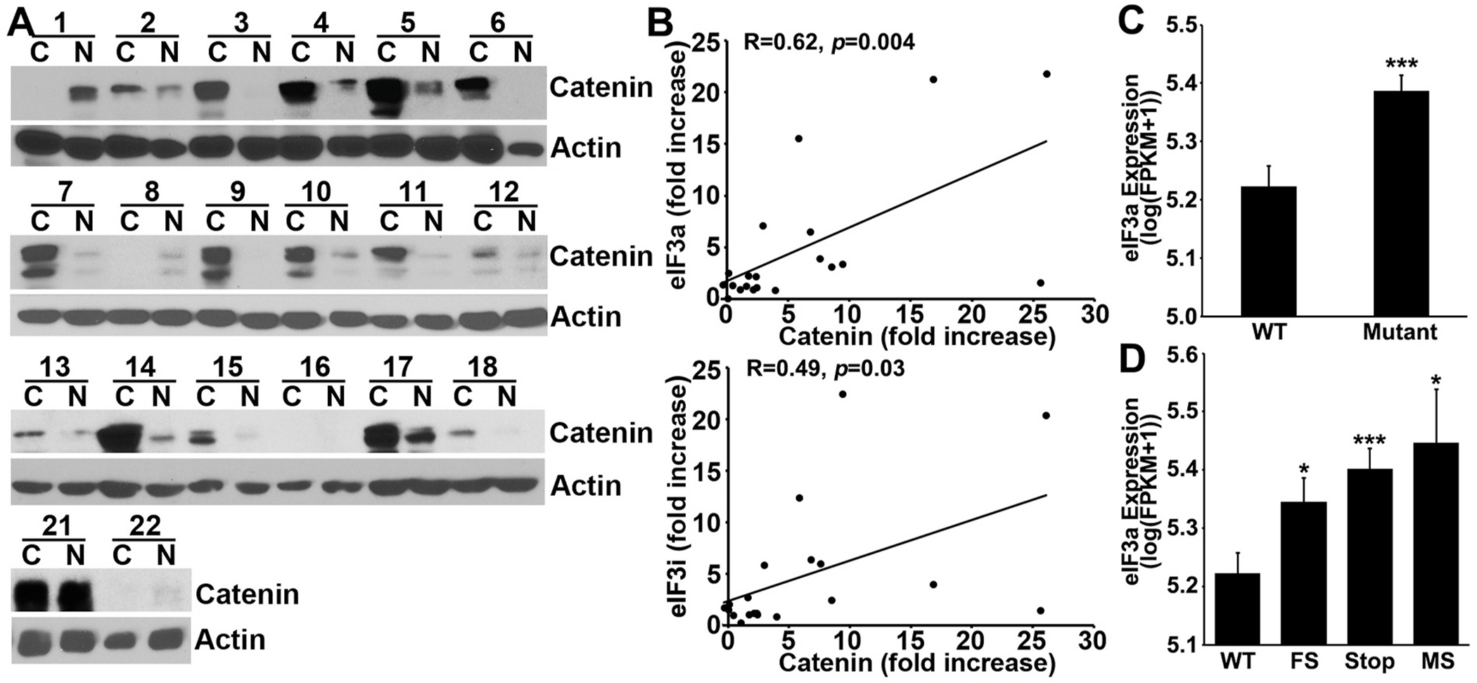 Fig. 6.