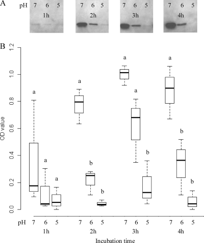 Fig. 4.