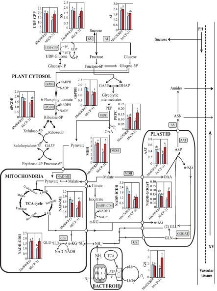 Fig. S6.