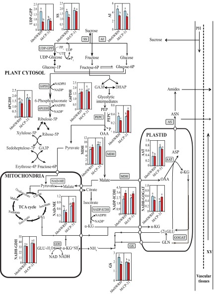 Fig. S8.